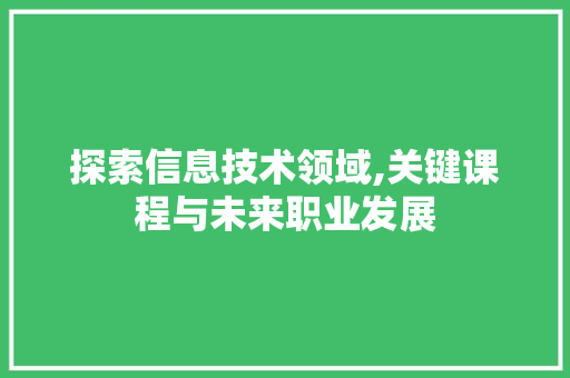 探索信息技术领域,关键课程与未来职业发展 百度SEO