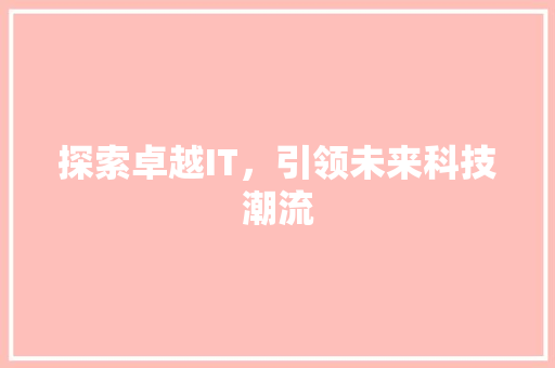 探索卓越IT，引领未来科技潮流 网站建设公司
