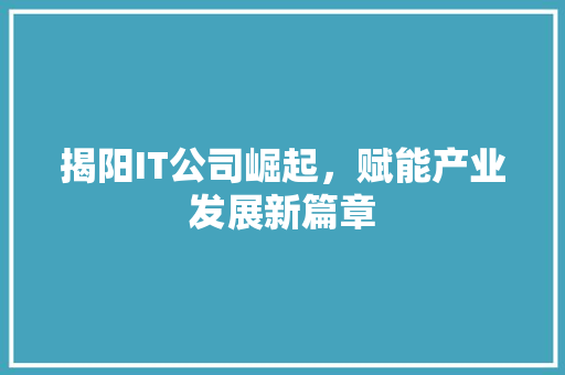 揭阳IT公司崛起，赋能产业发展新篇章