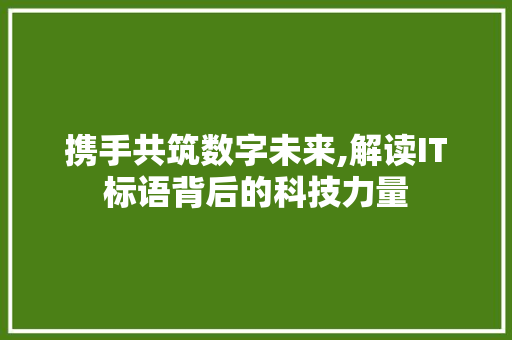 携手共筑数字未来,解读IT标语背后的科技力量
