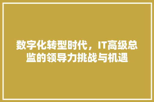 数字化转型时代，IT高级总监的领导力挑战与机遇 搜狗SEO