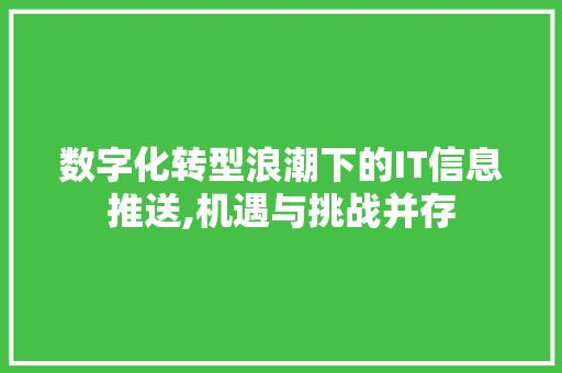 数字化转型浪潮下的IT信息推送,机遇与挑战并存 神马SEO
