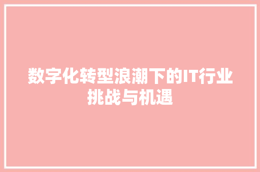 数字化转型浪潮下的IT行业挑战与机遇 神马SEO