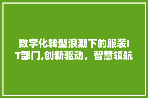 数字化转型浪潮下的服装IT部门,创新驱动，智慧领航 网站建设公司