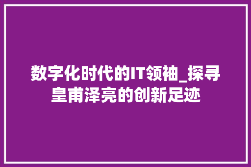 数字化时代的IT领袖_探寻皇甫泽亮的创新足迹