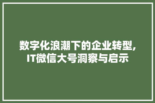 数字化浪潮下的企业转型,IT微信大号洞察与启示