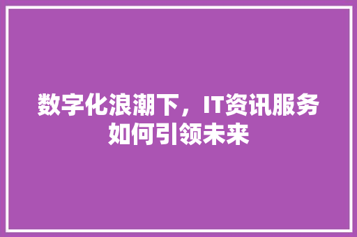 数字化浪潮下，IT资讯服务如何引领未来