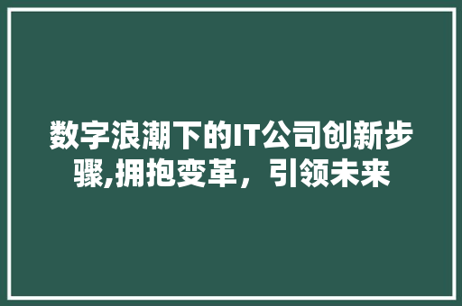 数字浪潮下的IT公司创新步骤,拥抱变革，引领未来 必应SEO