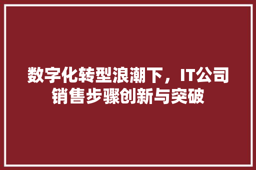 数字化转型浪潮下，IT公司销售步骤创新与突破