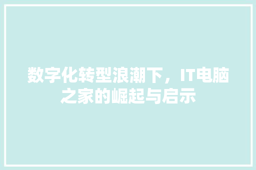 数字化转型浪潮下，IT电脑之家的崛起与启示