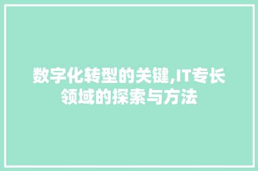 数字化转型的关键,IT专长领域的探索与方法 网站建设公司