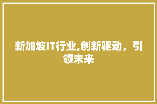 新加坡IT行业,创新驱动，引领未来
