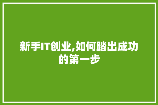新手IT创业,如何踏出成功的第一步