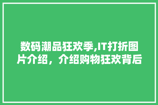 数码潮品狂欢季,IT打折图片介绍，介绍购物狂欢背后的真相