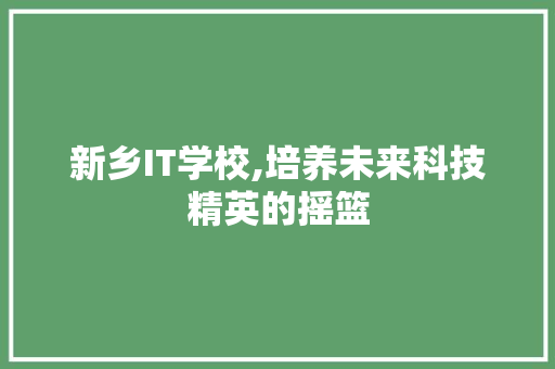 新乡IT学校,培养未来科技精英的摇篮 神马SEO
