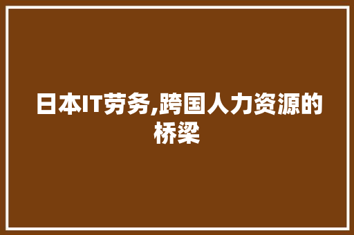 日本IT劳务,跨国人力资源的桥梁 必应SEO