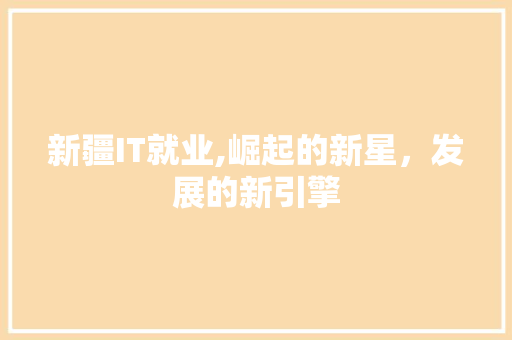 新疆IT就业,崛起的新星，发展的新引擎