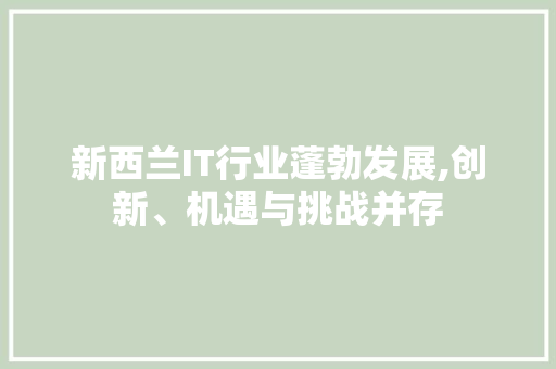 新西兰IT行业蓬勃发展,创新、机遇与挑战并存