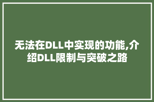 无法在DLL中实现的功能,介绍DLL限制与突破之路 必应SEO
