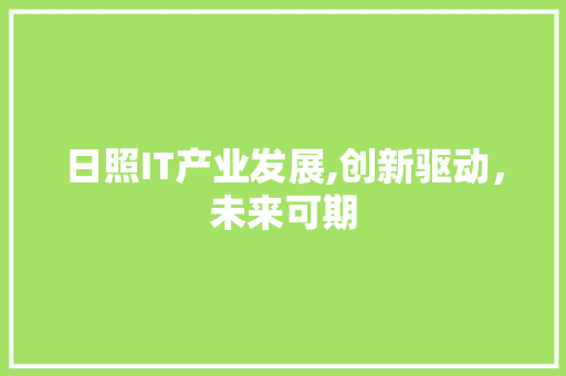 日照IT产业发展,创新驱动，未来可期