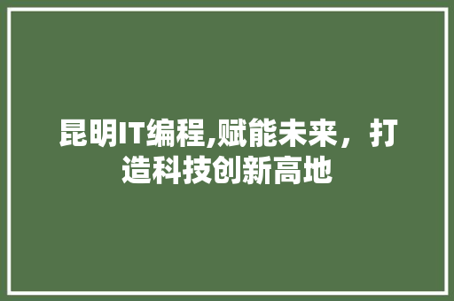 昆明IT编程,赋能未来，打造科技创新高地