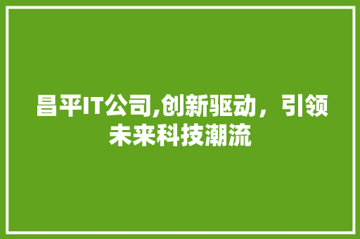 昌平IT公司,创新驱动，引领未来科技潮流 必应SEO