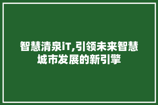 智慧清泉iT,引领未来智慧城市发展的新引擎