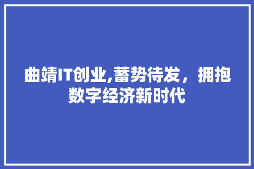 曲靖IT创业,蓄势待发，拥抱数字经济新时代