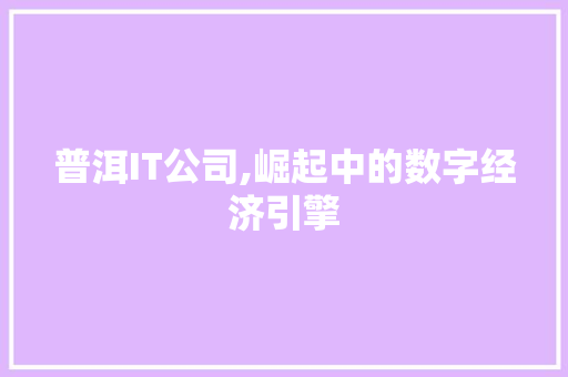 普洱IT公司,崛起中的数字经济引擎