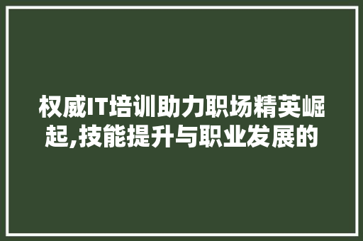 权威IT培训助力职场精英崛起,技能提升与职业发展的双翼