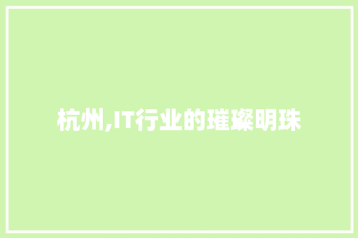 杭州,IT行业的璀璨明珠