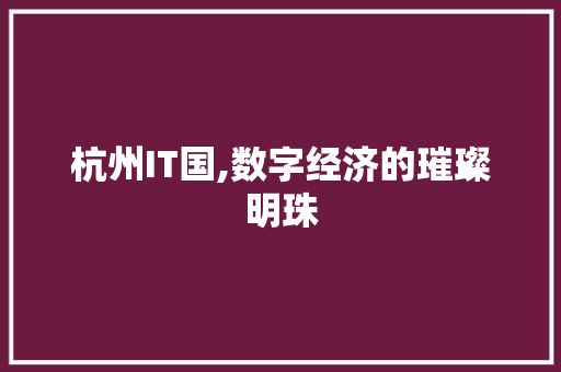 杭州IT国,数字经济的璀璨明珠