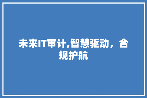 未来IT审计,智慧驱动，合规护航