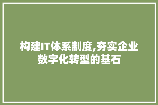 构建IT体系制度,夯实企业数字化转型的基石 百度SEO