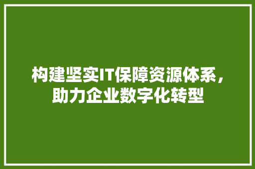 构建坚实IT保障资源体系，助力企业数字化转型 神马SEO
