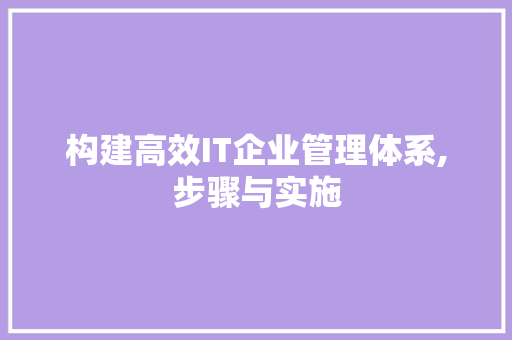 构建高效IT企业管理体系,步骤与实施