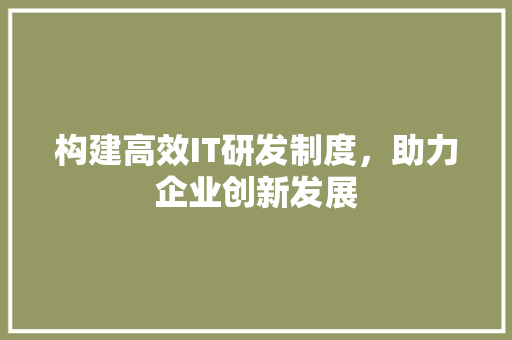 构建高效IT研发制度，助力企业创新发展