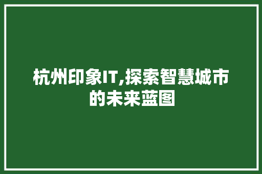 杭州印象IT,探索智慧城市的未来蓝图