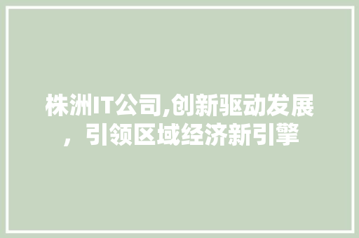 株洲IT公司,创新驱动发展，引领区域经济新引擎