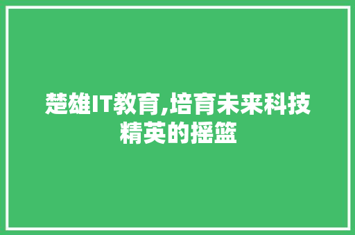 楚雄IT教育,培育未来科技精英的摇篮