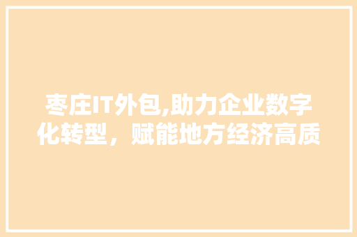 枣庄IT外包,助力企业数字化转型，赋能地方经济高质量发展