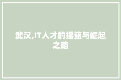 武汉,IT人才的摇篮与崛起之路