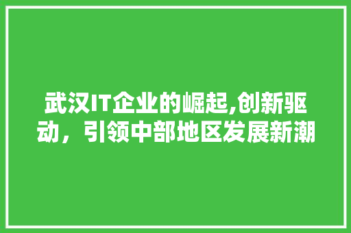 武汉IT企业的崛起,创新驱动，引领中部地区发展新潮流