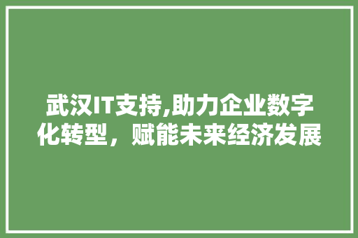 武汉IT支持,助力企业数字化转型，赋能未来经济发展