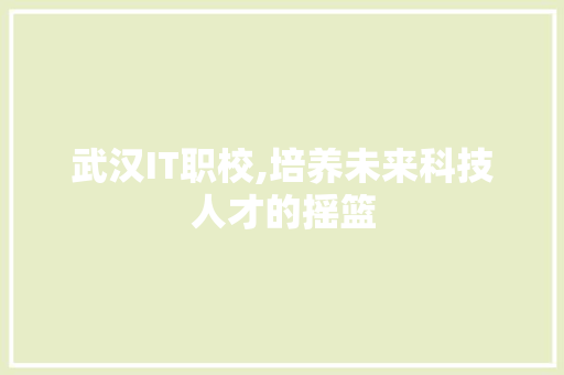 武汉IT职校,培养未来科技人才的摇篮
