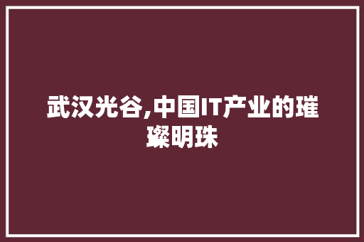 武汉光谷,中国IT产业的璀璨明珠 必应SEO
