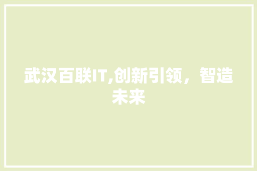 武汉百联IT,创新引领，智造未来
