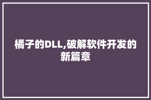 橘子的DLL,破解软件开发的新篇章 必应SEO