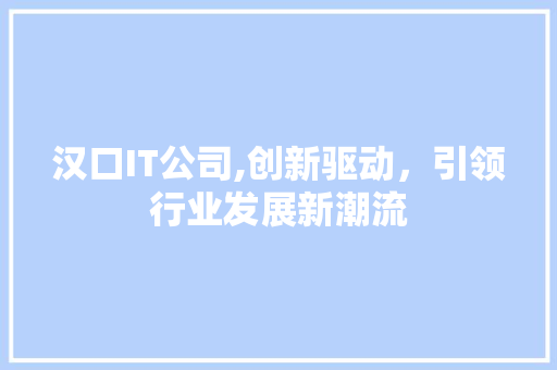 汉口IT公司,创新驱动，引领行业发展新潮流
