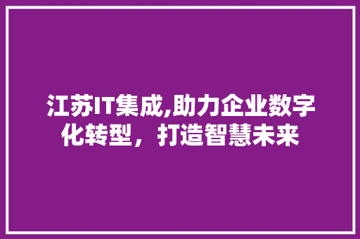 江苏IT集成,助力企业数字化转型，打造智慧未来